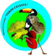 Proyecto Verde Celeste